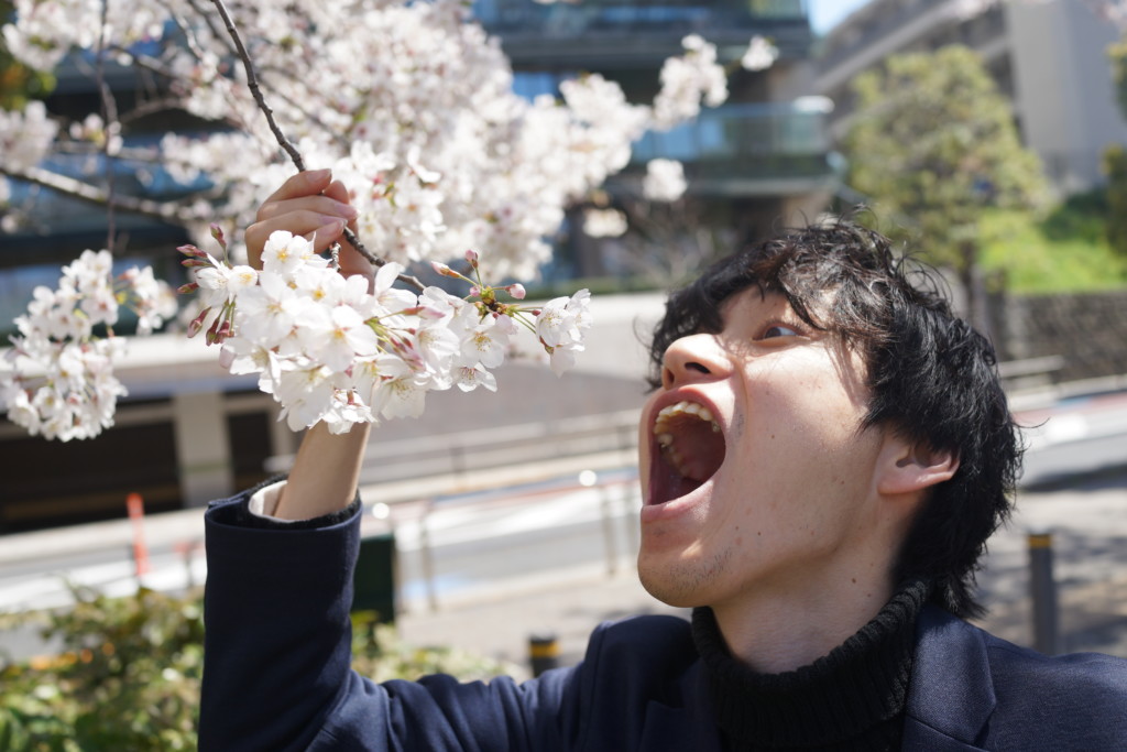 フリー画像素材 花見中に酔っ払って桜を食べようとする男性 フリー素材のaphoto アフォト